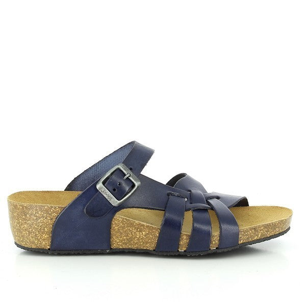 Plakton 241509 NAVY